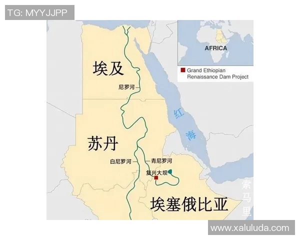 埃塞俄比亚复兴进程中的挑战与内部矛盾分析